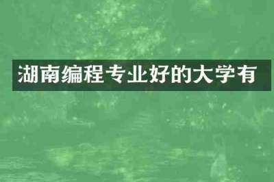 湖南编程专业好的大学有
