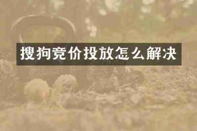 搜狗竞价投放怎么解决