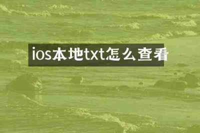 ios本地txt怎么查看