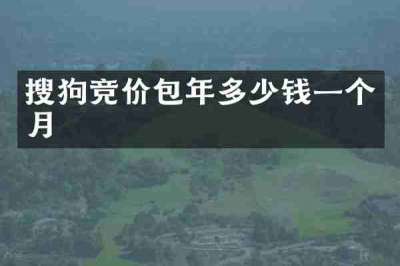 搜狗竞价包年多少钱一个月