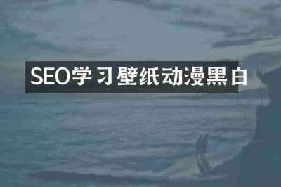 SEO学习壁纸动漫黑白
