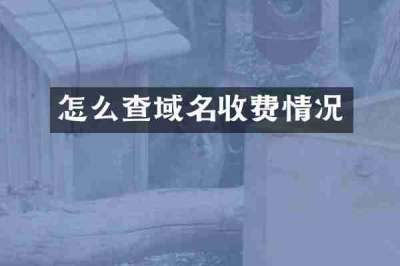 怎么查域名收费情况