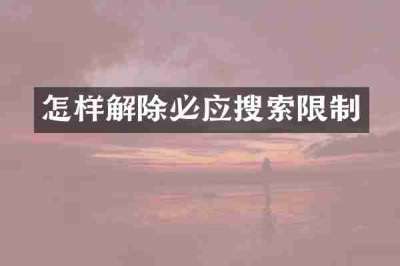 怎样解除必应搜索限制