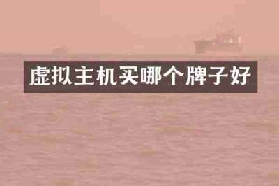 虚拟主机买哪个牌子好