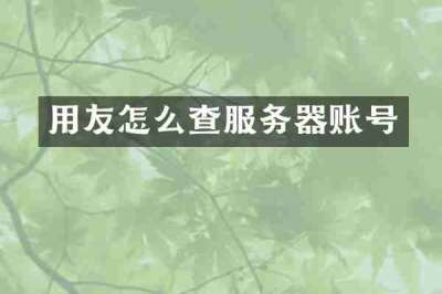 用友怎么查服务器账号