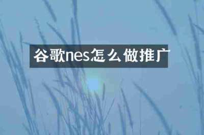 谷歌nes怎么做推广