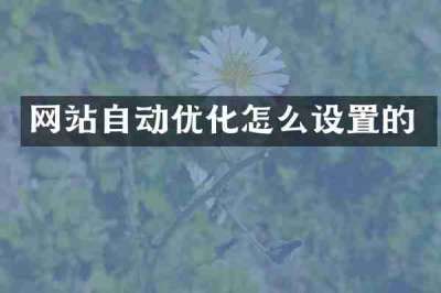 网站自动优化怎么设置的