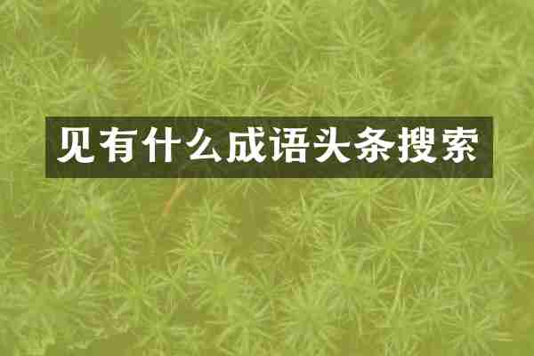 见有什么成语头条搜索