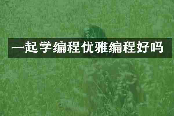 一起学编程优雅编程好吗