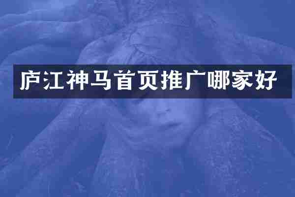 庐江神马首页推广哪家好