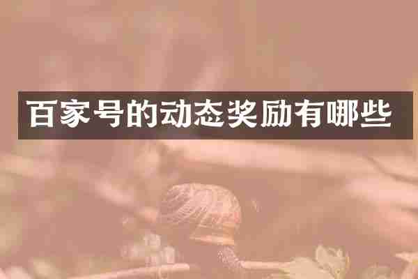 百家号的动态奖励有哪些