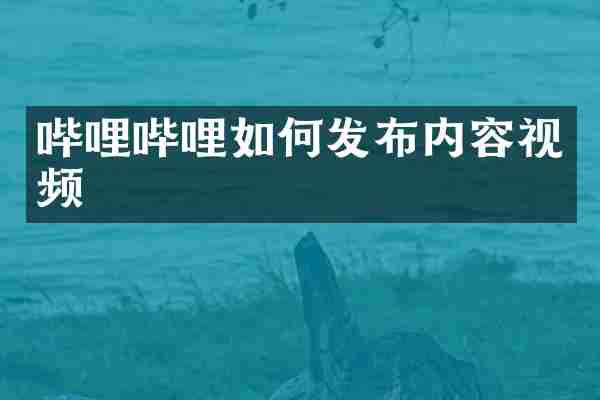 哔哩哔哩如何发布内容视频