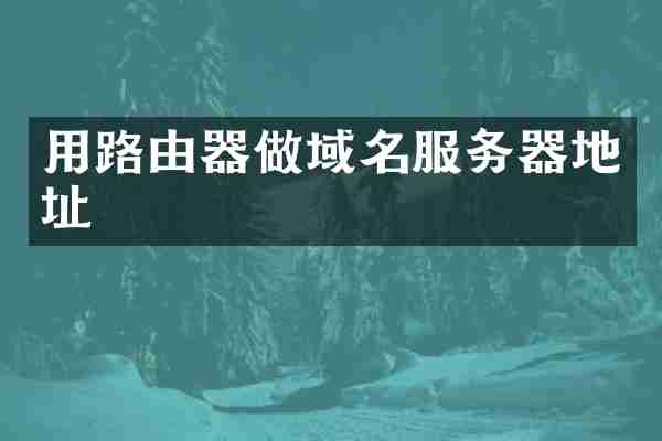 用路由器做域名服务器地址