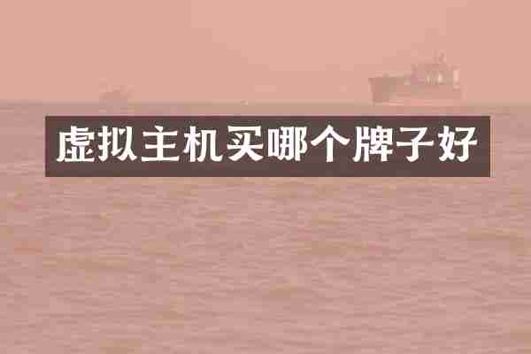 虚拟主机买哪个牌子好