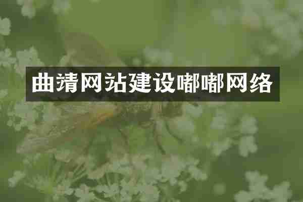 曲靖网站建设嘟嘟网络