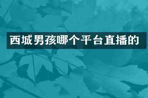 西城男孩哪个平台直播的