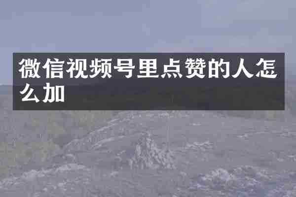 微信视频号里点赞的人怎么加