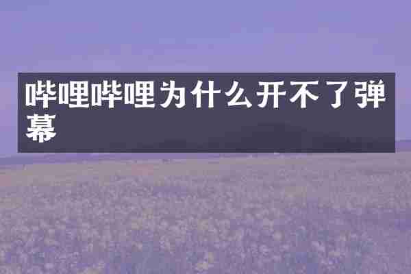 哔哩哔哩为什么开不了弹幕