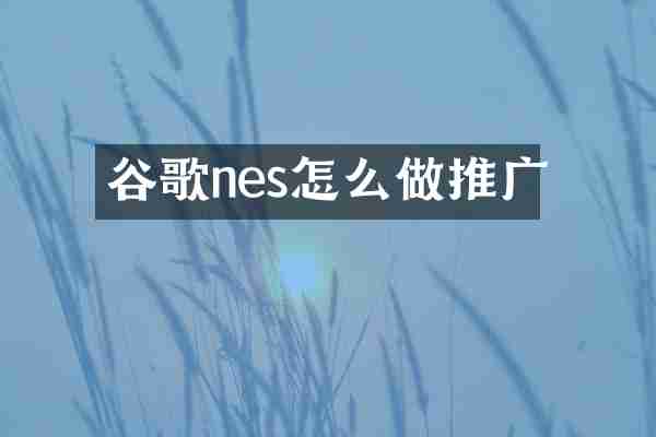 谷歌nes怎么做推广