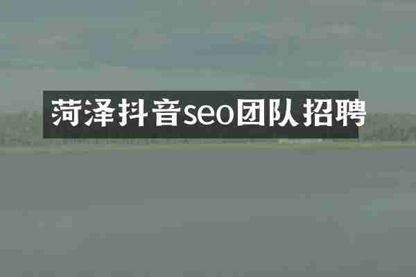 菏泽抖音seo团队招聘
