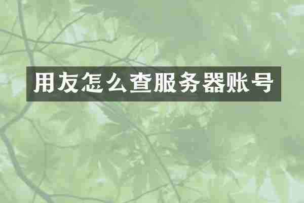 用友怎么查服务器账号