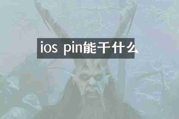 ios pin能干什么