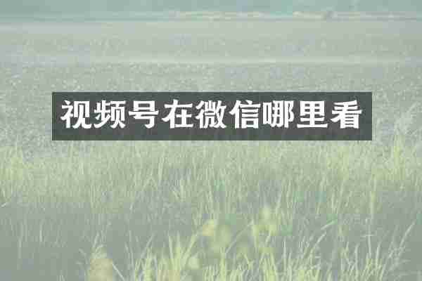 视频号在微信哪里看