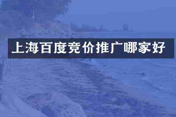 上海百度竞价推广哪家好