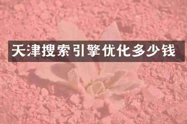 天津搜索引擎优化多少钱