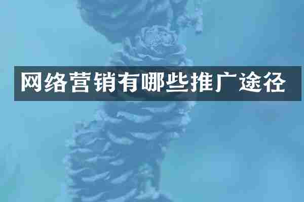 网络营销有哪些推广途径