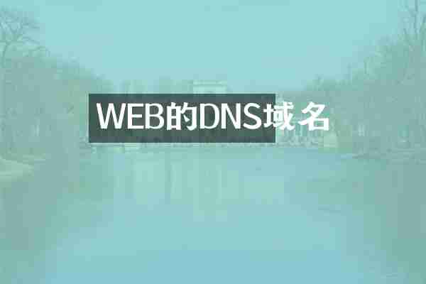 WEB的DNS域名