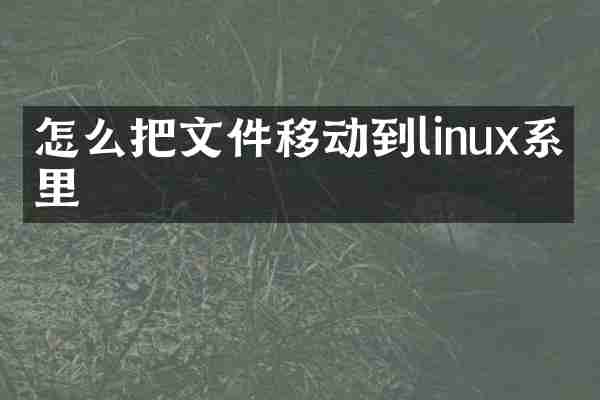 怎么把文件移动到linux系统里