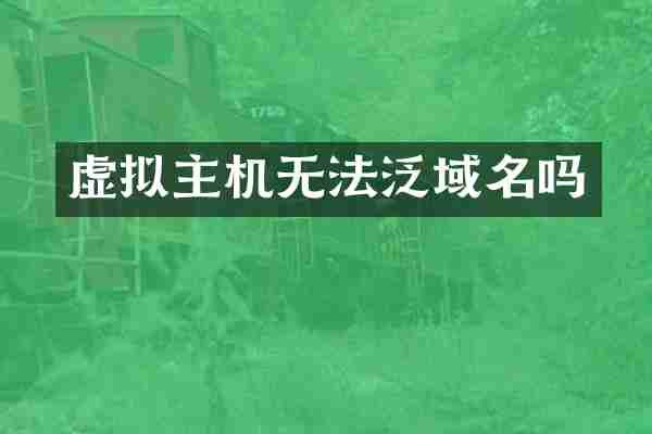 虚拟主机无法泛域名吗
