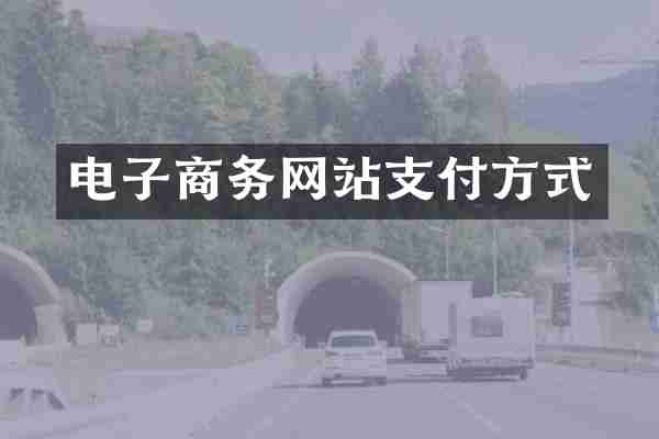 电子商务网站支付方式