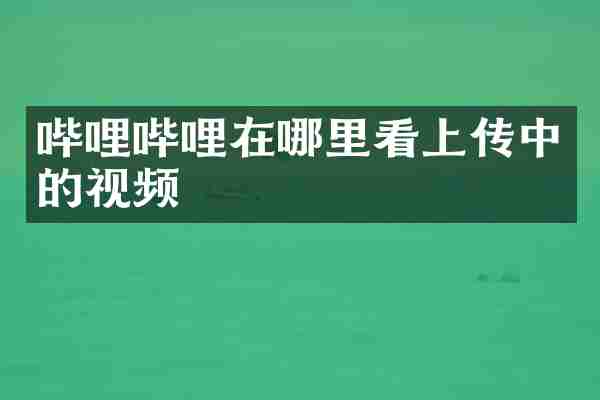哔哩哔哩在哪里看上传中的视频