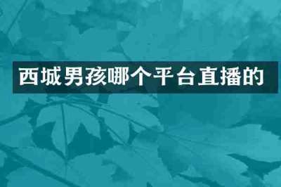 西城男孩哪个平台直播的