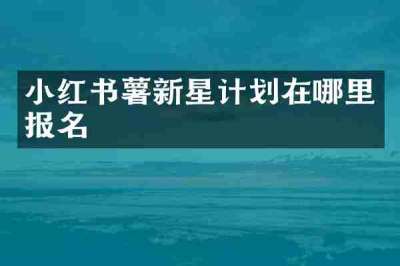 小红书薯新星计划在哪里报名