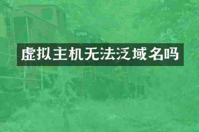虚拟主机无法泛域名吗
