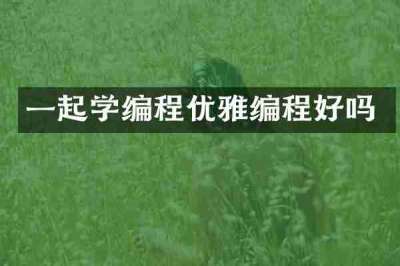 一起学编程优雅编程好吗