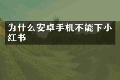 为什么安卓手机不能下小红书