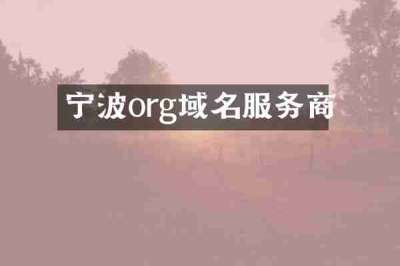 宁波org域名服务商