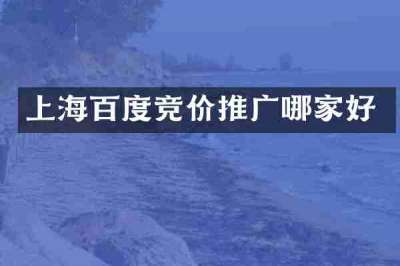 上海百度竞价推广哪家好