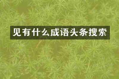 见有什么成语头条搜索