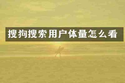 搜狗搜索用户体量怎么看