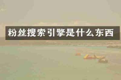 粉丝搜索引擎是什么东西
