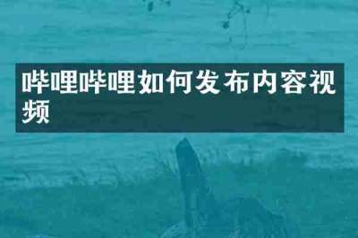哔哩哔哩如何发布内容视频