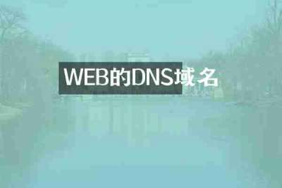 WEB的DNS域名