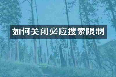 如何关闭必应搜索限制