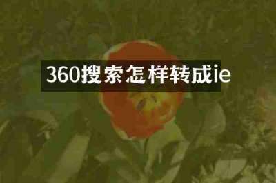360搜索怎样转成ie