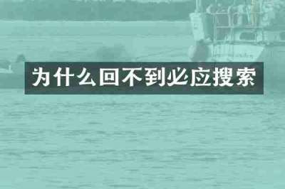 为什么回不到必应搜索